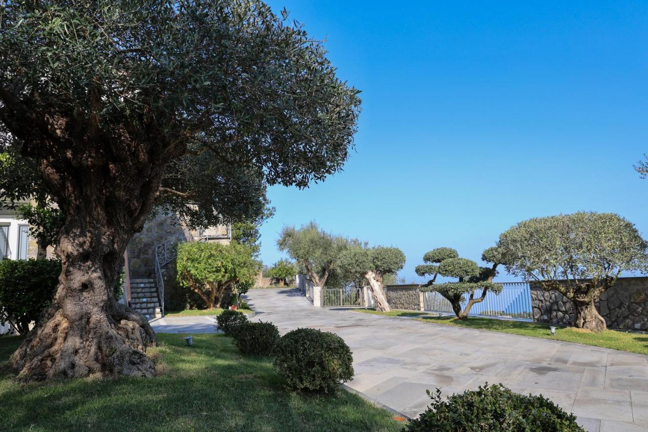 Villa Italia Sorrento Termini Exteriér fotografie